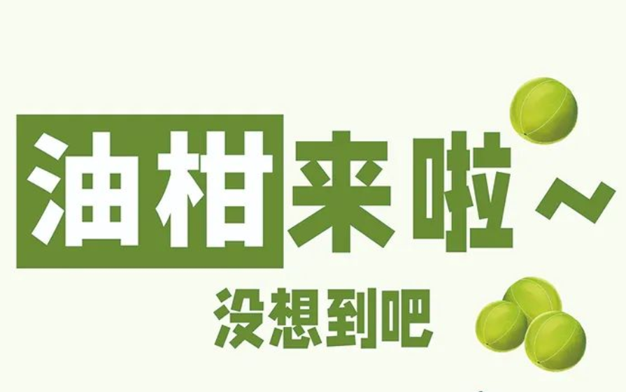 重磅消息 | 莫沫南路新品油柑系列即将上线啦~