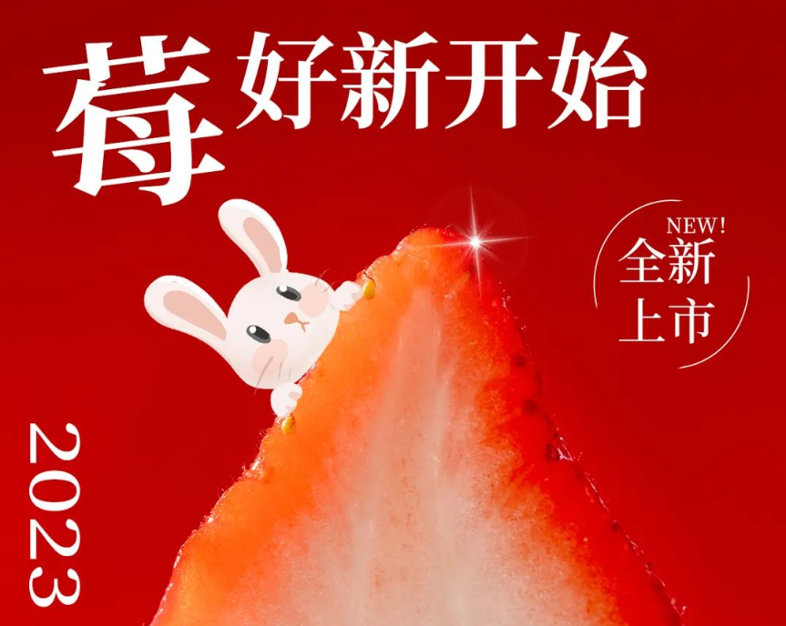 莫沫南路丨点进来！2023莫沫“莓”你不行！